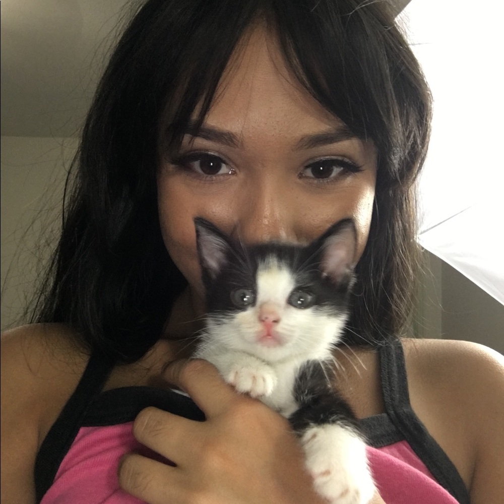 ISO kitten collars/costumes for Keisha 💕